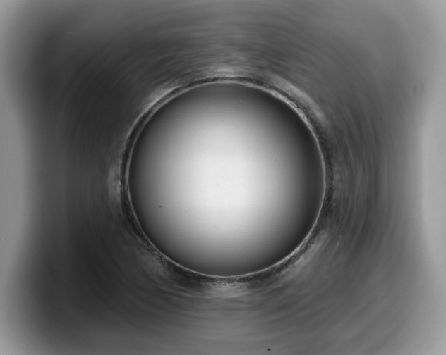 X0000099971170200805301328