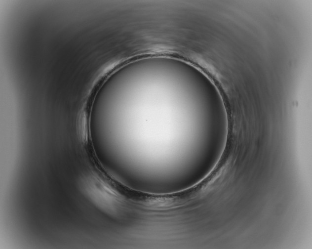 X0000099971171200805301328