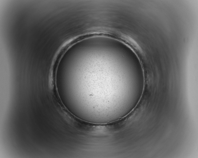 X0000099971172200805301328