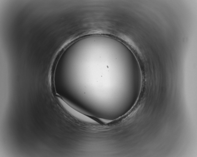 X0000099971173200805301328