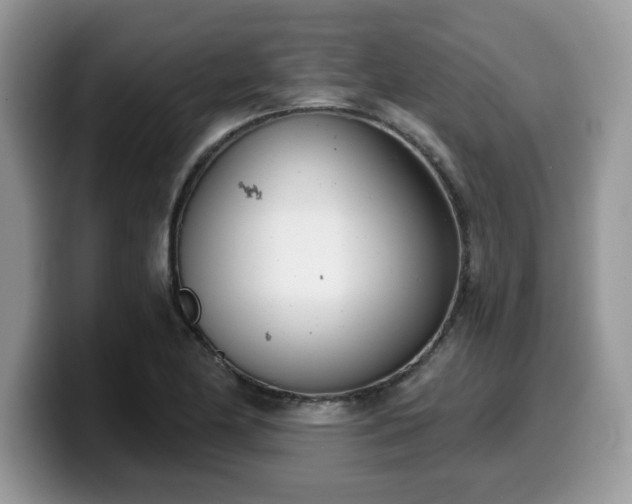 X0000099971174200805301328