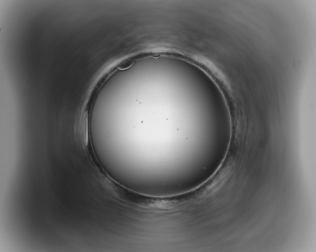 X0000099971175200805301328