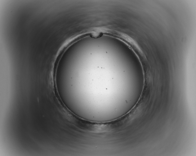 X0000099971176200805301328