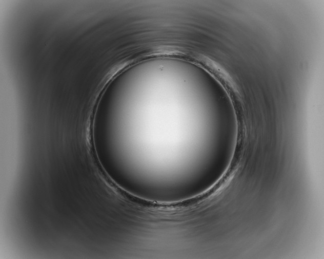 X0000099971177200805301328