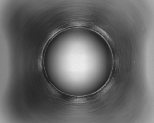 X0000099971178200805301328