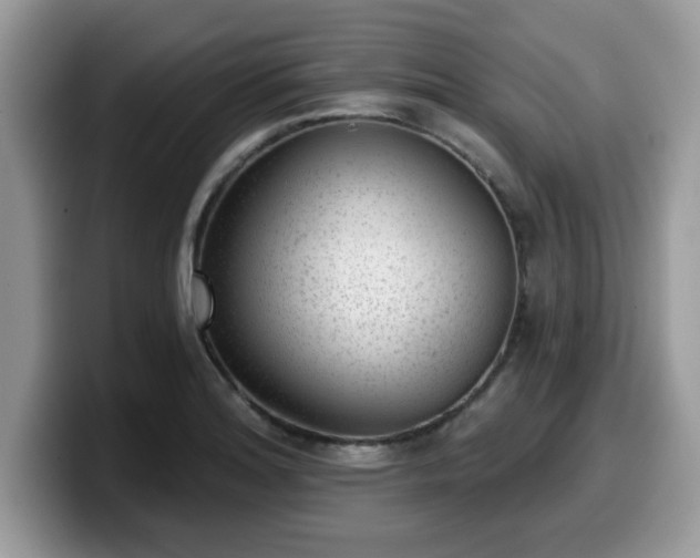 X0000099971180200805301328