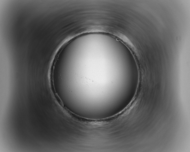 X0000099971181200805301328