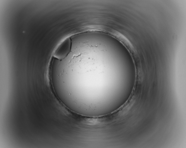 X0000099971182200805301328