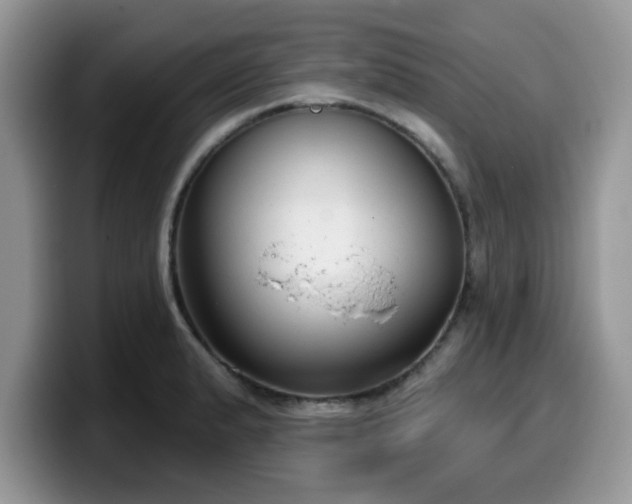 X0000099971183200805301328