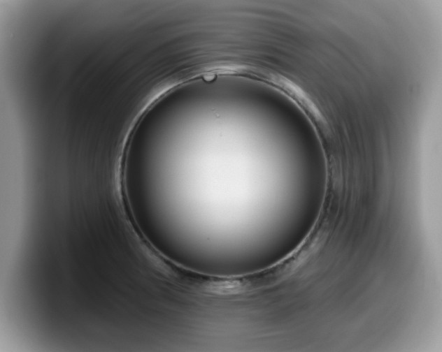 X0000099971186200805301328