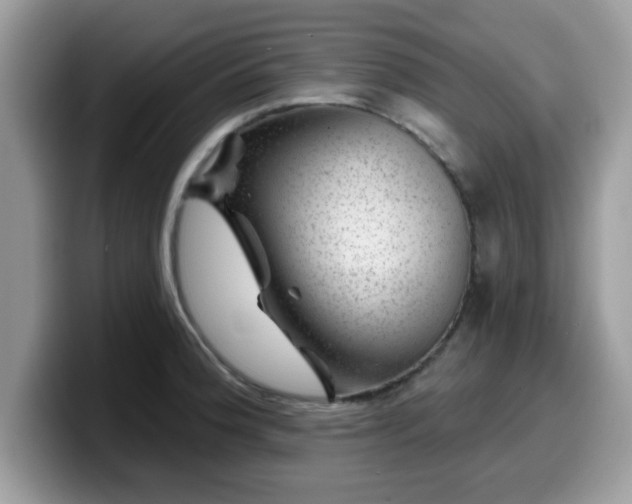 X0000099971188200805301328