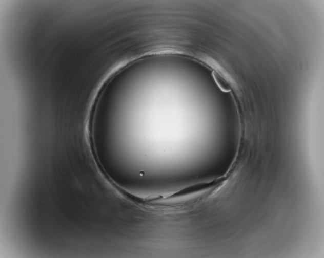 X0000099971189200805301328