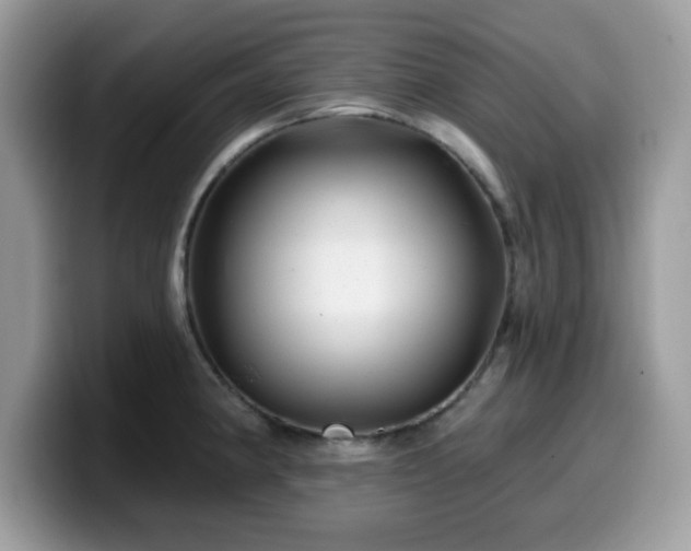 X0000099971190200805301327