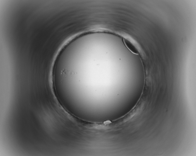 X0000099971191200805301327