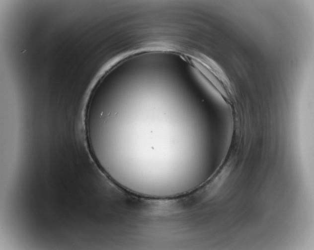 X0000099971192200805301327