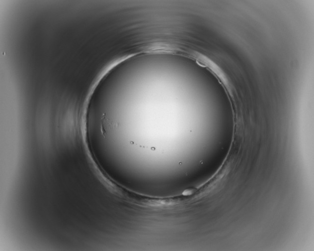 X0000099971195200805301327