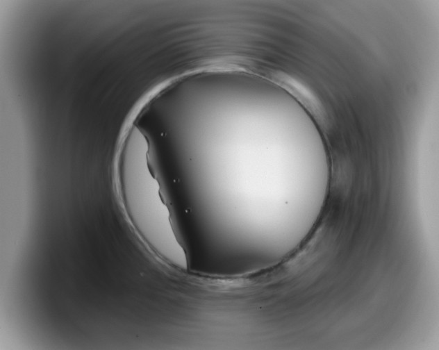 X0000099971196200805301327