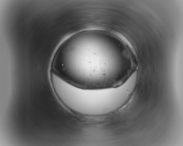 X0000099971197200805301327