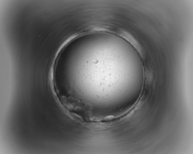 X0000099971198200805301327