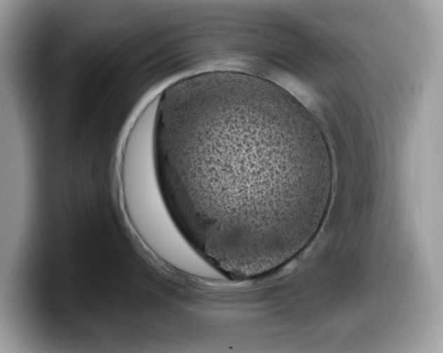 X0000099971200200805301327