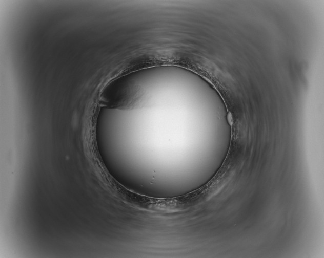 X0000099971201200805301327