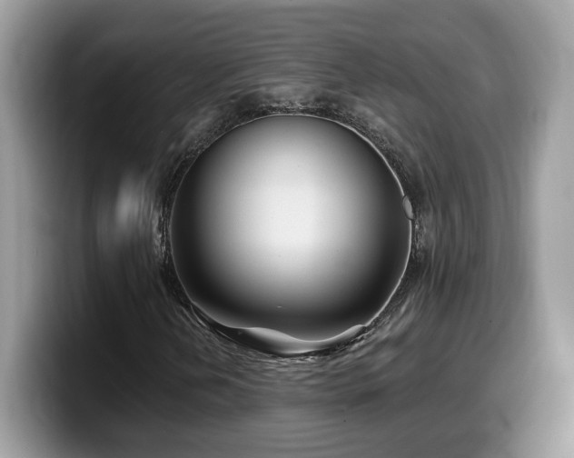 X0000099971202200805301327