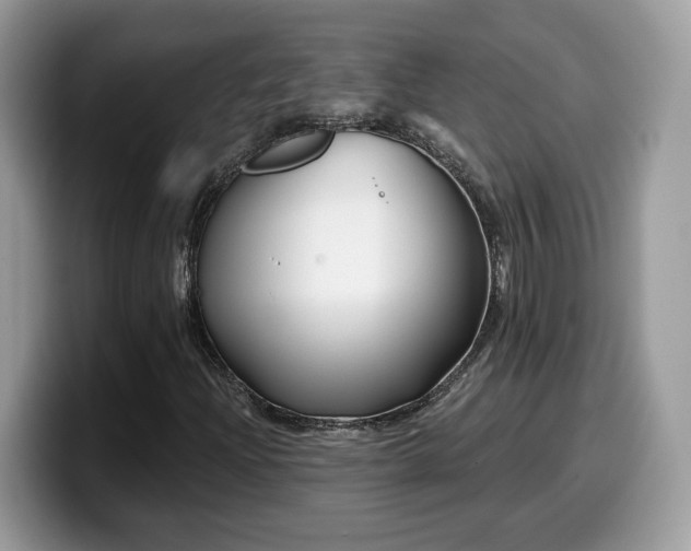 X0000099971204200805301327