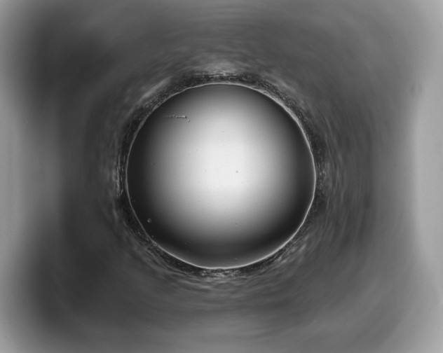 X0000099971205200805301327