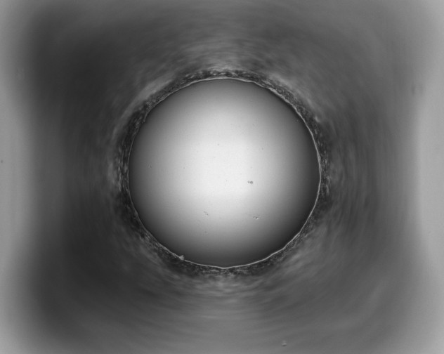 X0000099971207200805301327