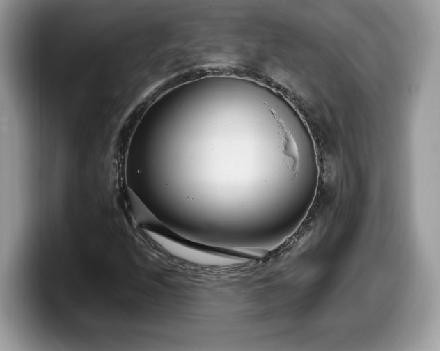 X0000099971208200805301327