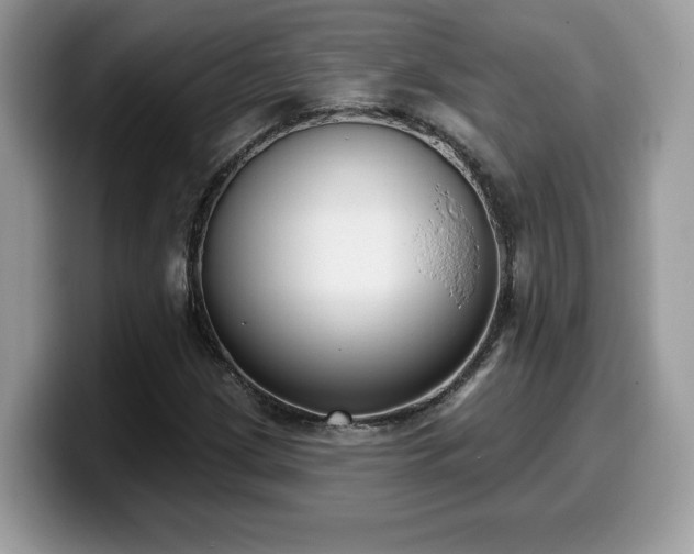 X0000099971209200805301327