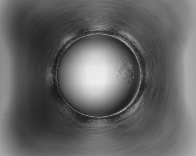 X0000099971210200805301327