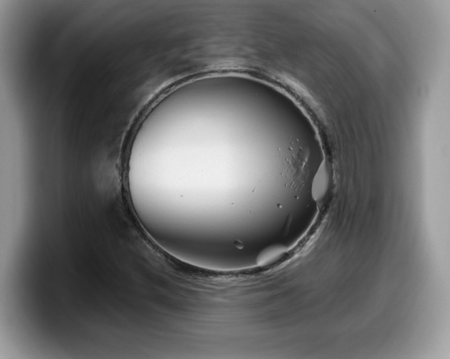 X0000099971212200805301327