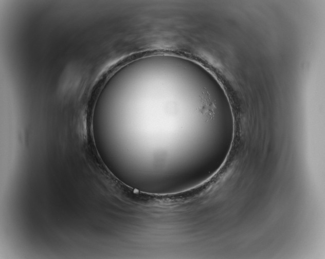 X0000099971214200805301327