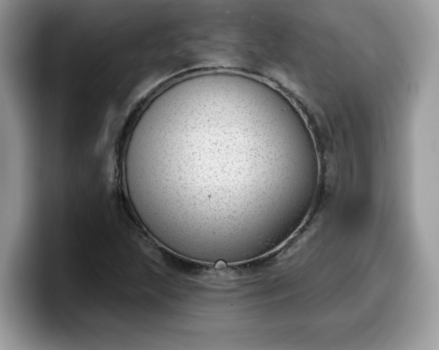 X0000099971215200805301327