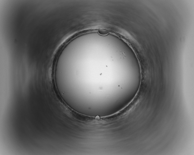 X0000099971216200805301327