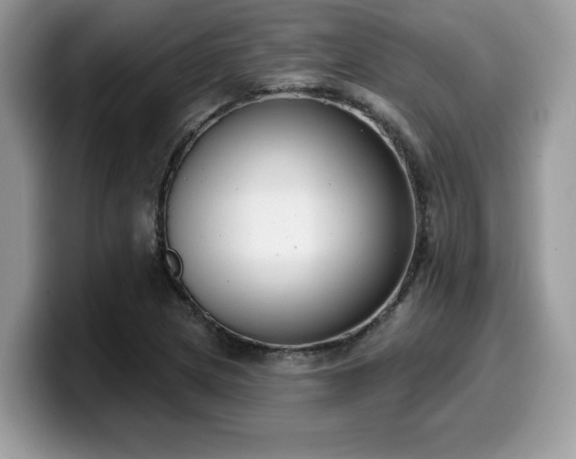 X0000099971217200805301327