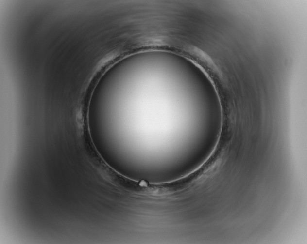 X0000099971218200805301327