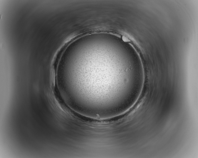 X0000099971219200805301327