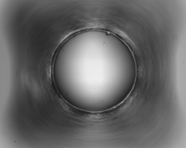 X0000099971220200805301327