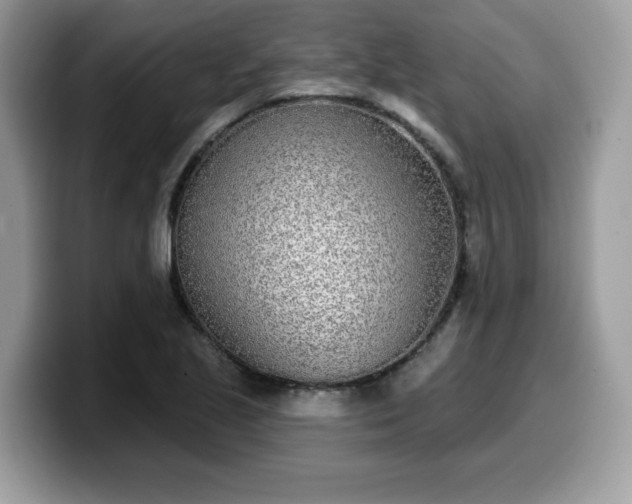 X0000099971221200805301327