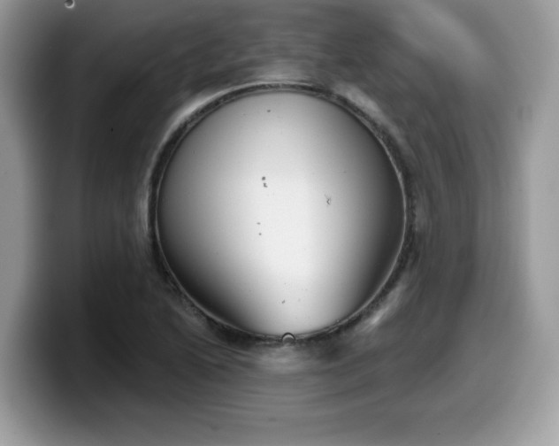 X0000099971222200805301327