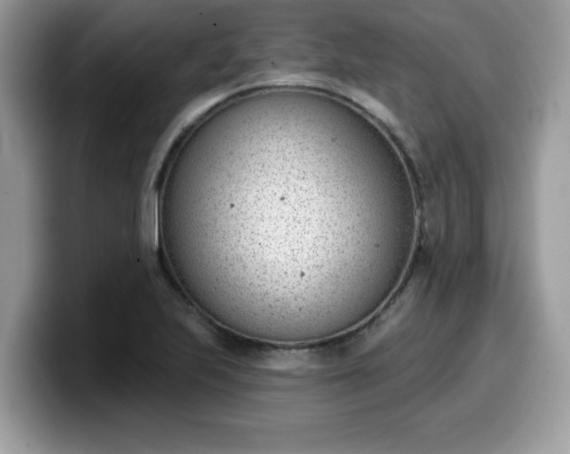 X0000099971223200805301327