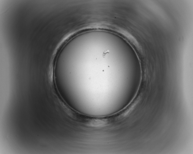 X0000099971224200805301327