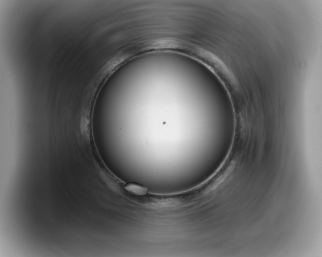 X0000099971225200805301327