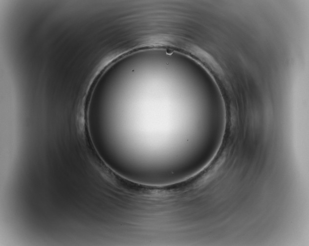 X0000099971226200805301327