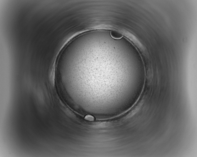 X0000099971228200805301327