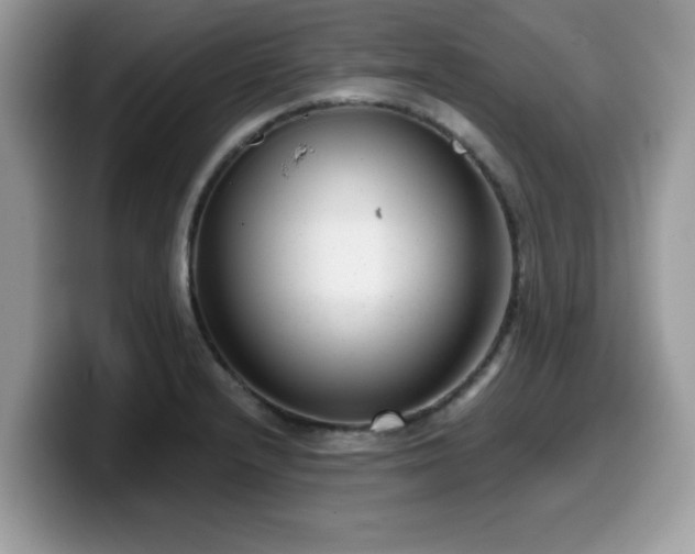 X0000099971232200805301327