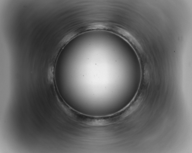 X0000099971233200805301327