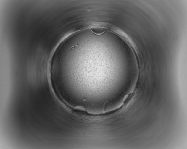 X0000099971235200805301327